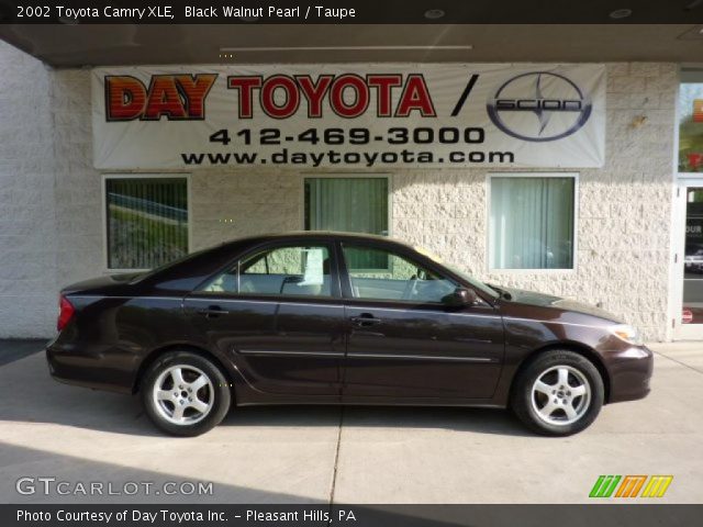 2002 Toyota Camry XLE in Black Walnut Pearl