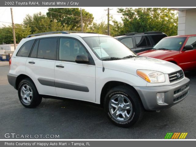 2002 Toyota RAV4  in Natural White