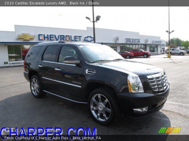2010 Cadillac Escalade Luxury AWD in Black Ice