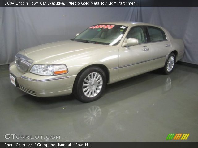 2004 Lincoln Town Car Executive in Pueblo Gold Metallic