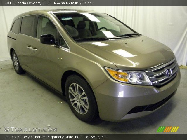 2011 Honda Odyssey EX-L in Mocha Metallic
