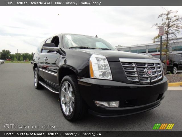 2009 Cadillac Escalade AWD in Black Raven