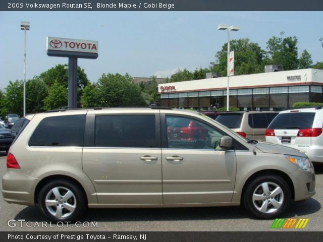 2009 Volkswagen Routan SE in Blonde Maple