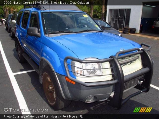 Nissan xterra shock blue #2