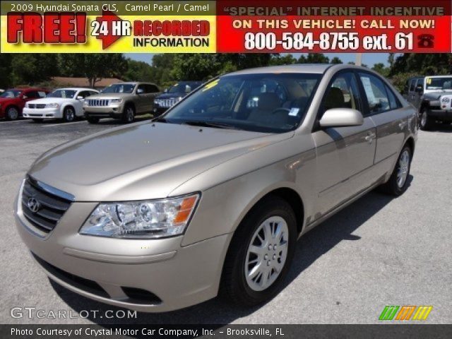 2009 Hyundai Sonata GLS in Camel Pearl