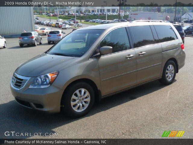 2009 Honda Odyssey EX-L in Mocha Metallic