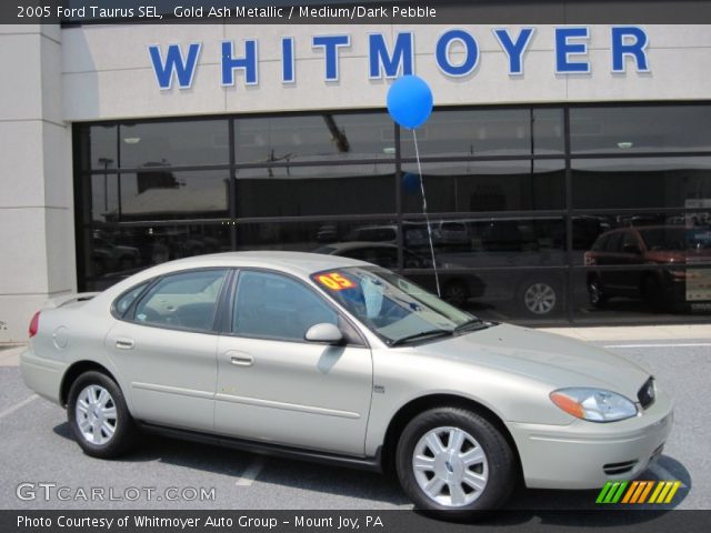 2005 Ford Taurus SEL in Gold Ash Metallic