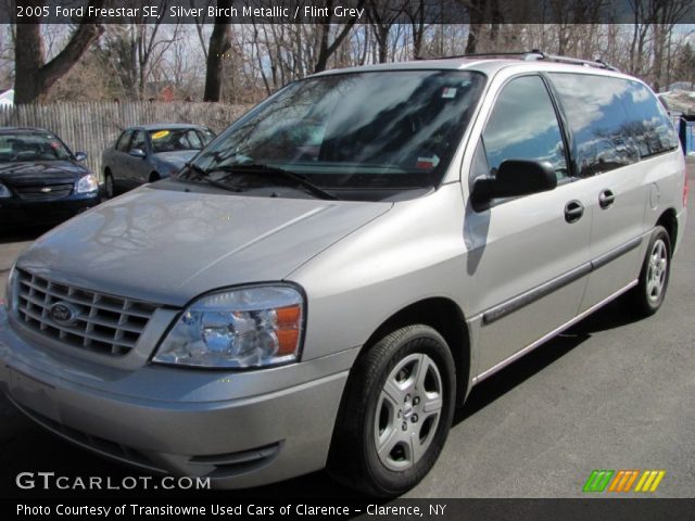 2005 Ford Freestar SE in Silver Birch Metallic