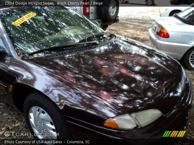 1994 Dodge Intrepid Sedan in Black Cherry Pearl