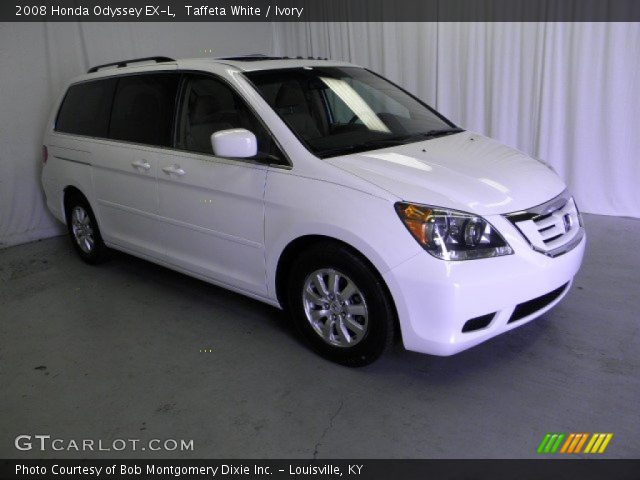 2008 Honda Odyssey EX-L in Taffeta White