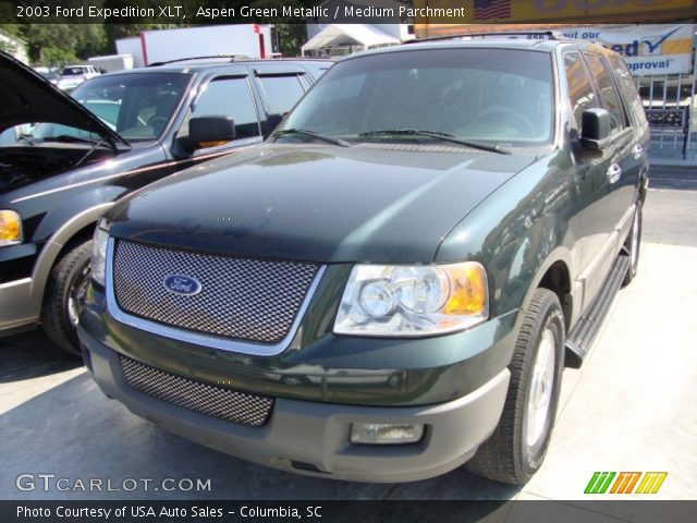 2003 Ford Expedition XLT in Aspen Green Metallic