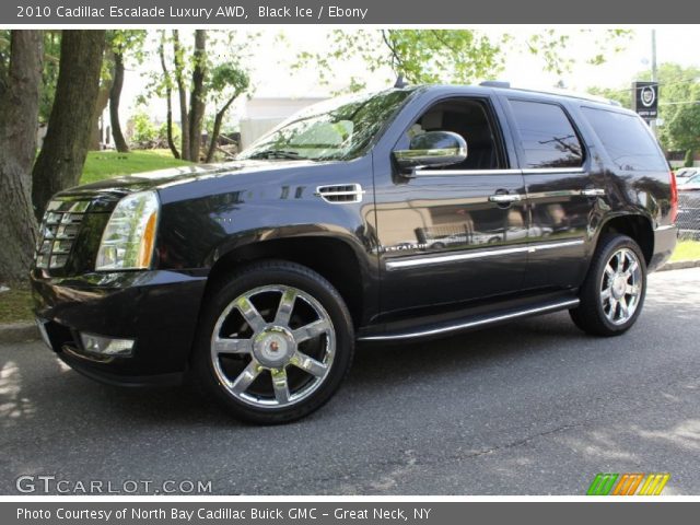 2010 Cadillac Escalade Luxury AWD in Black Ice