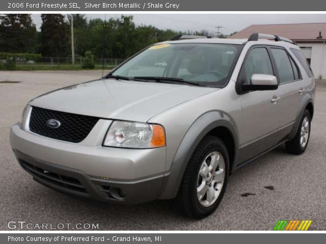 2006 Ford Freestyle SEL in Silver Birch Metallic