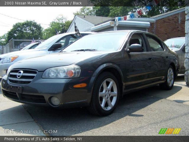 2003 Nissan Maxima SE in Gray Lustre