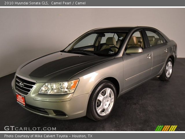2010 Hyundai Sonata GLS in Camel Pearl