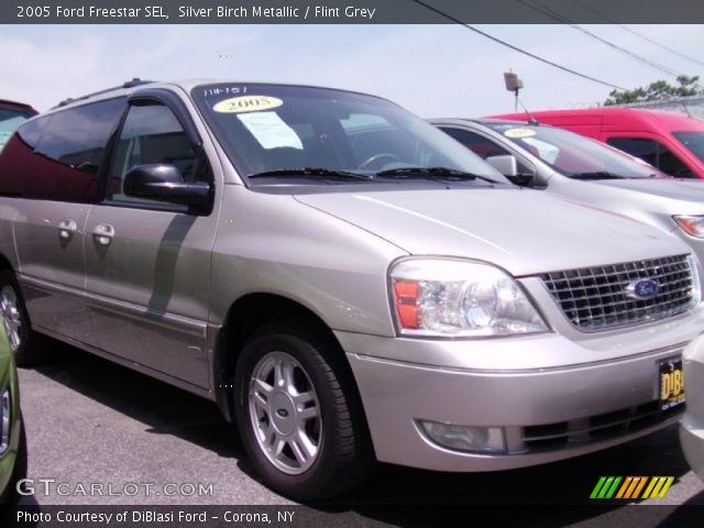 2005 Ford Freestar SEL in Silver Birch Metallic
