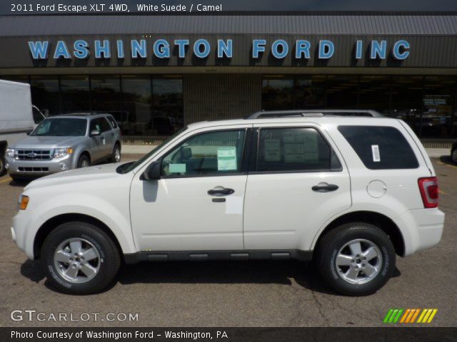 2011 Ford Escape XLT 4WD in White Suede