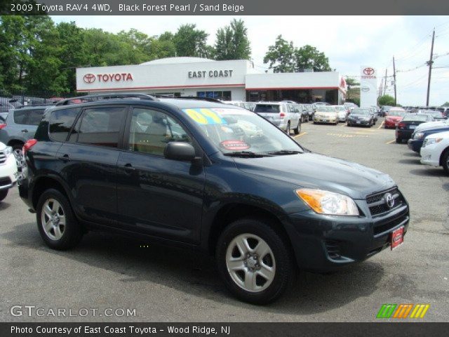 2009 Toyota RAV4 4WD in Black Forest Pearl
