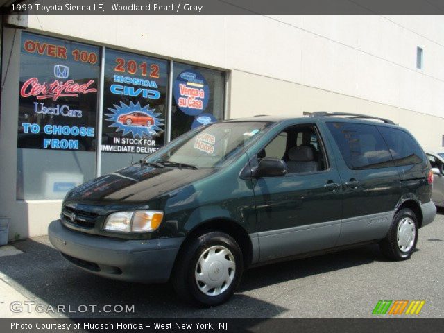 1999 Toyota Sienna LE in Woodland Pearl