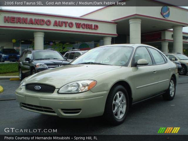 2006 Ford Taurus SEL in Gold Ash Metallic