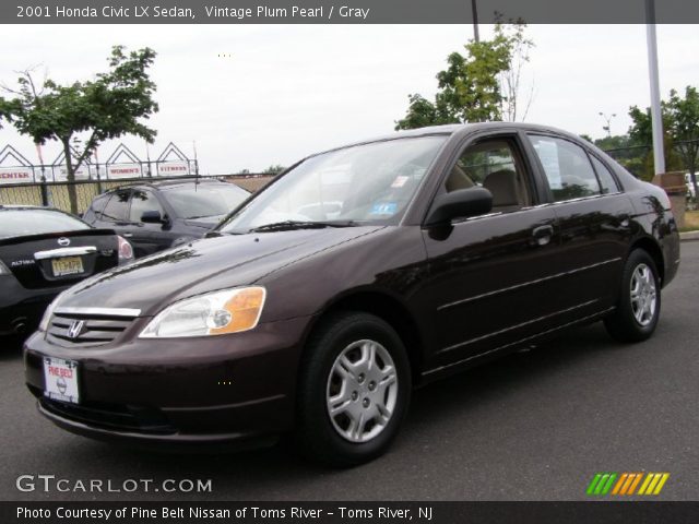 Plum pearl honda civic #6
