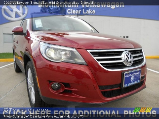 2011 Volkswagen Tiguan SEL in Wild Cherry Metallic