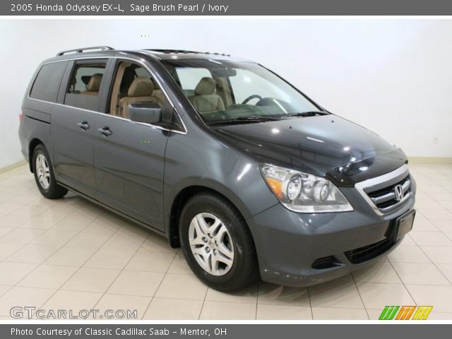 Sage brush pearl honda odyssey #6