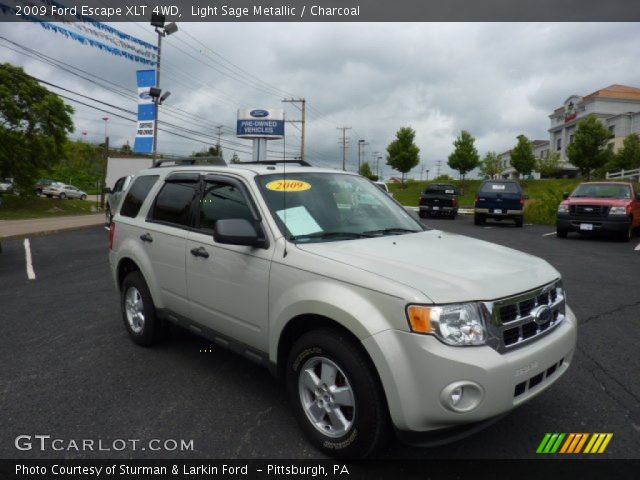 2009 Ford Escape XLT 4WD in Light Sage Metallic