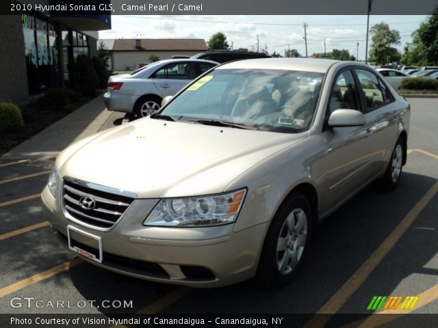 2010 Hyundai Sonata GLS in Camel Pearl