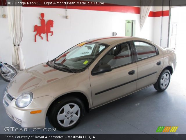 2003 Dodge Neon SE in Light Almond Pearl Metallic