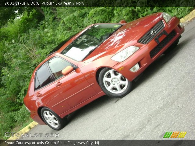 2001 Lexus IS 300 in Auburn Sky Pearl