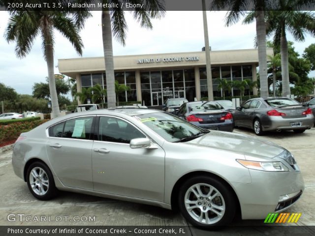2009 Acura TL 3.5 in Palladium Metallic
