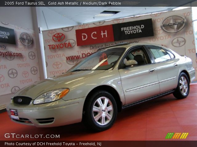 2005 Ford Taurus SEL in Gold Ash Metallic