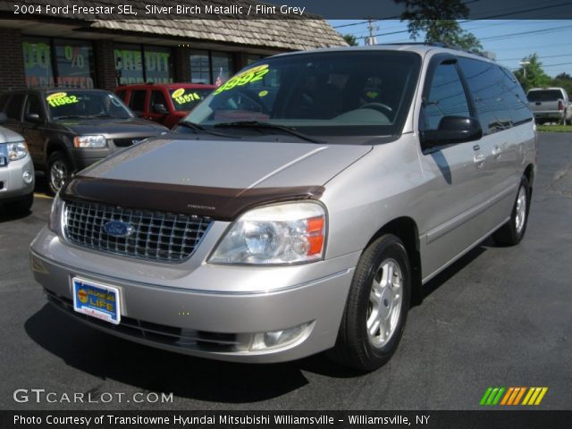 2004 Ford Freestar SEL in Silver Birch Metallic