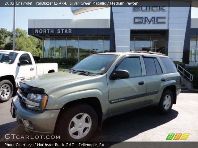 2003 Chevrolet TrailBlazer LS 4x4 in Silver Green Metallic