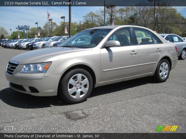 2010 Hyundai Sonata GLS in Camel Pearl
