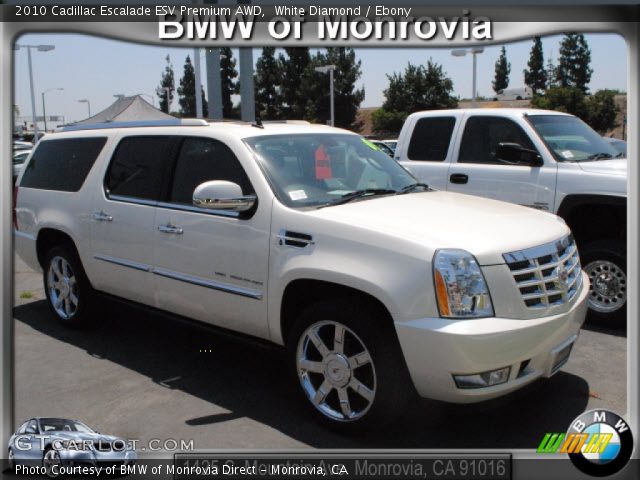 2010 Cadillac Escalade ESV Premium AWD in White Diamond