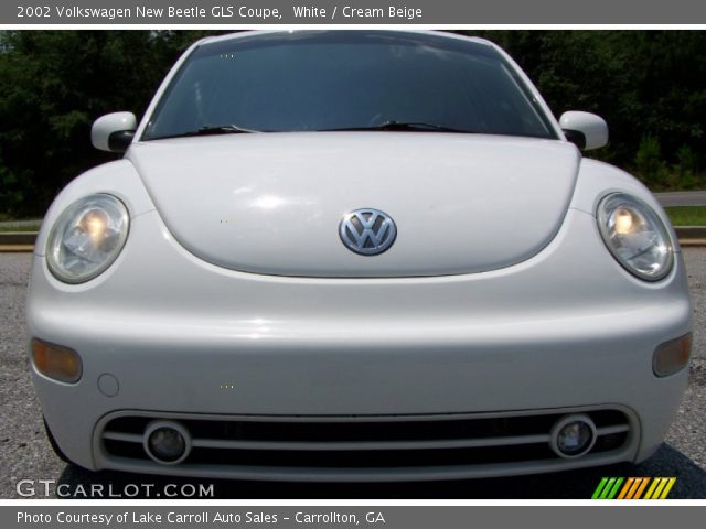 2002 Volkswagen New Beetle GLS Coupe in White