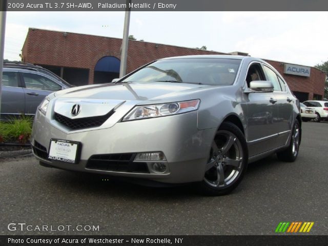 2009 Acura TL 3.7 SH-AWD in Palladium Metallic