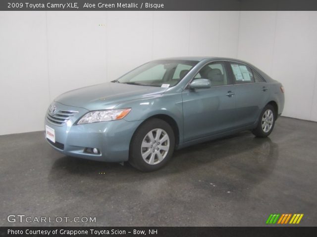 2009 Toyota Camry XLE in Aloe Green Metallic