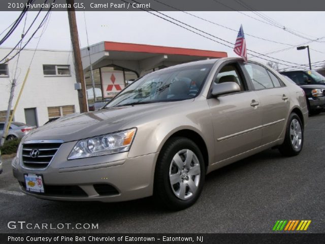 2010 Hyundai Sonata GLS in Camel Pearl