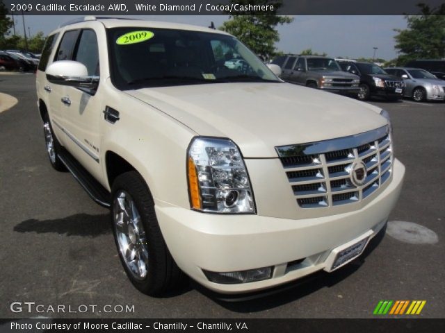 2009 Cadillac Escalade AWD in White Diamond