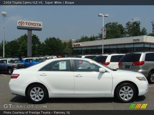 2009 Toyota Camry XLE V6 in Super White