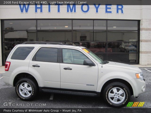 2008 Ford Escape XLT V6 4WD in Light Sage Metallic