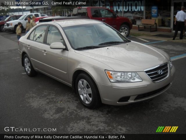 2011 Hyundai Sonata GLS in Camel Pearl