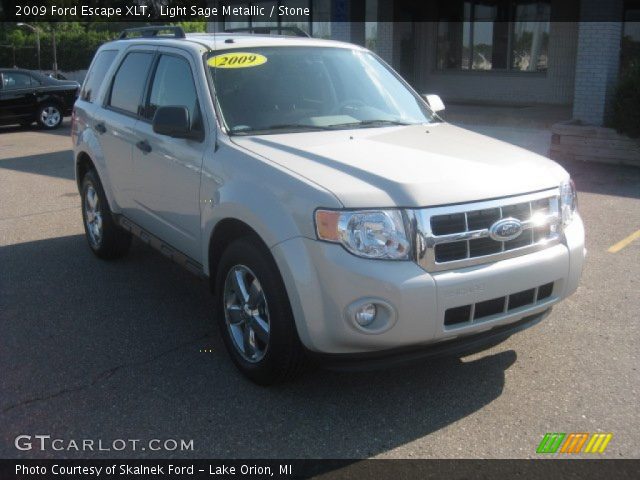 2009 Ford Escape XLT in Light Sage Metallic