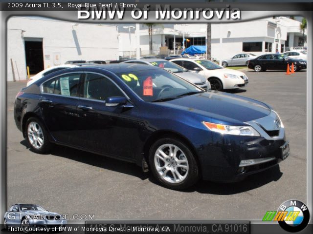 2009 Acura TL 3.5 in Royal Blue Pearl