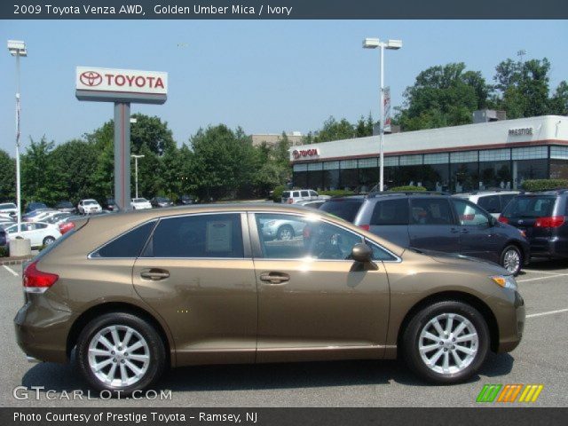 2009 Toyota Venza AWD in Golden Umber Mica