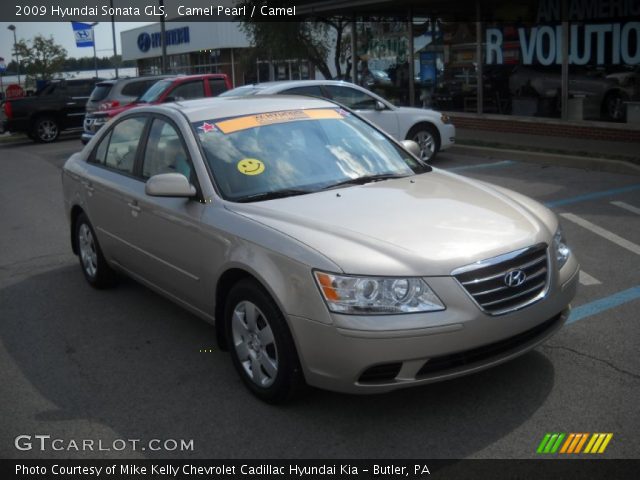 2009 Hyundai Sonata GLS in Camel Pearl