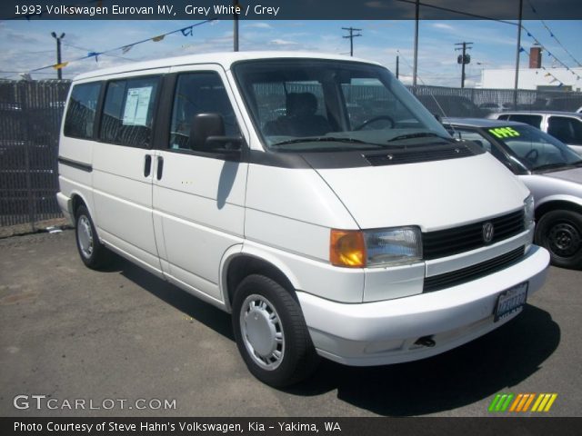 1993 Volkswagen Eurovan MV in Grey White